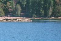 25AUG99_PLI22 <?xml version=