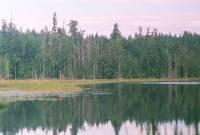 28AUG99_Grace_harbor <?xml version=