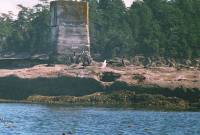 31AUG99_heading_home <?xml version=