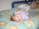24MAR03_01new_bed * <?xml version=