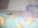24MAR03_02new_bed * <?xml version=