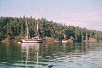 05JUN00_08 <?xml version=