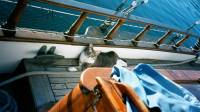 21JUN02_1reid_harbor_ashes 