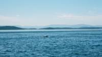 21JUN02_2underway_orca1