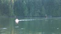 21JUN02_3parks_bay_exploring 