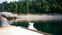 23JUN02_jones_island_ashes 